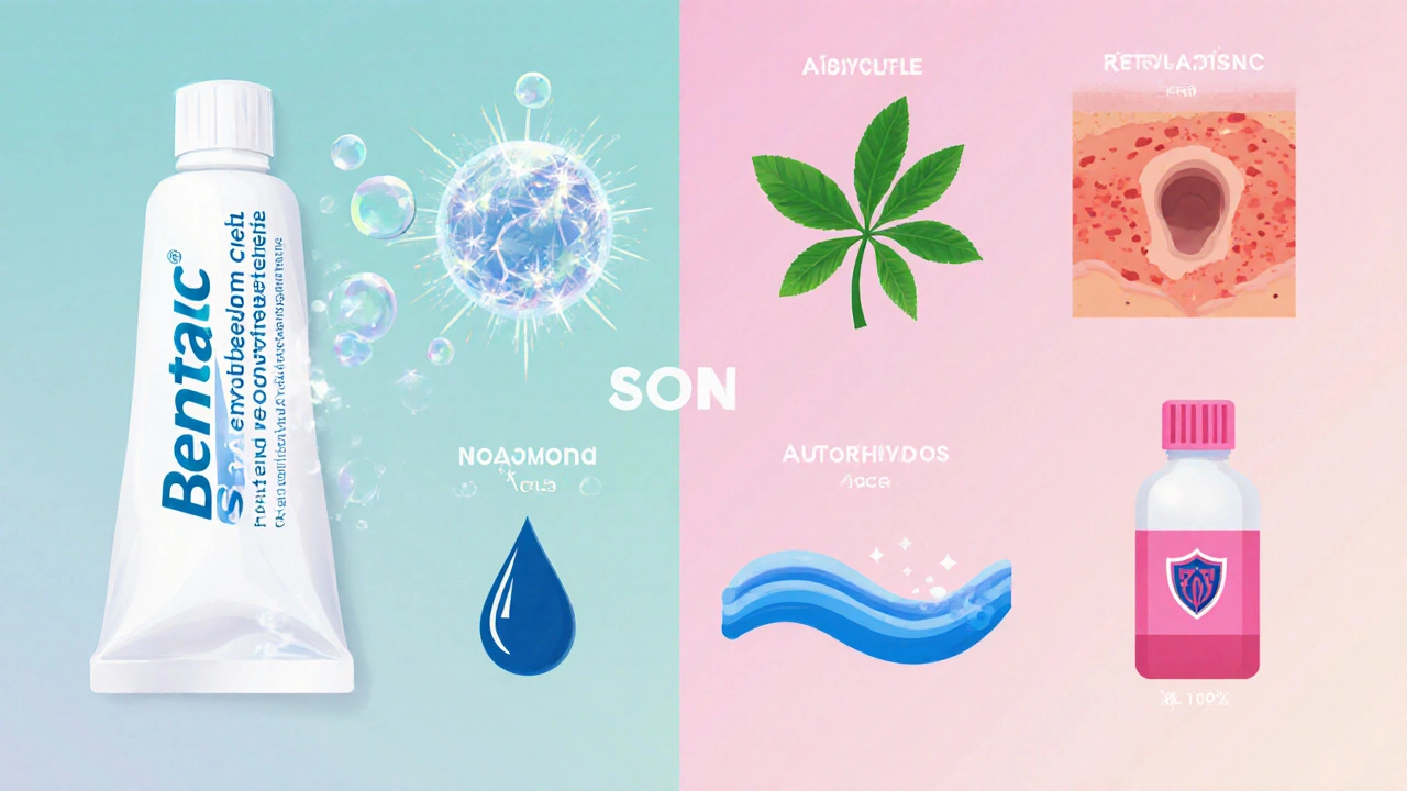Split‑screen illustration of Benzac and six alternative acne treatments as visual icons.